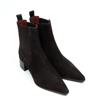 Roberto Festa Alisse