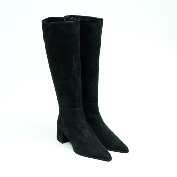 Roberto Festa Teonel